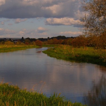 There’s “Something” in the River