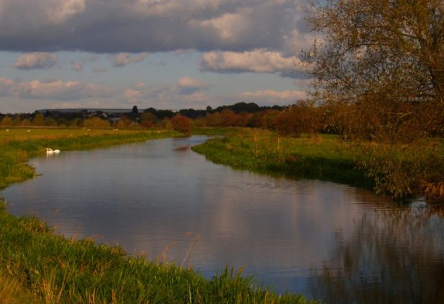 There’s “Something” in the River