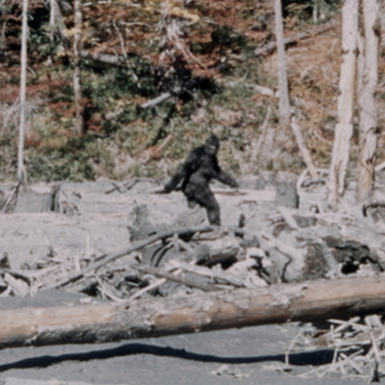 Maybe It’s Time We Forget About The Patterson Bigfoot Film
