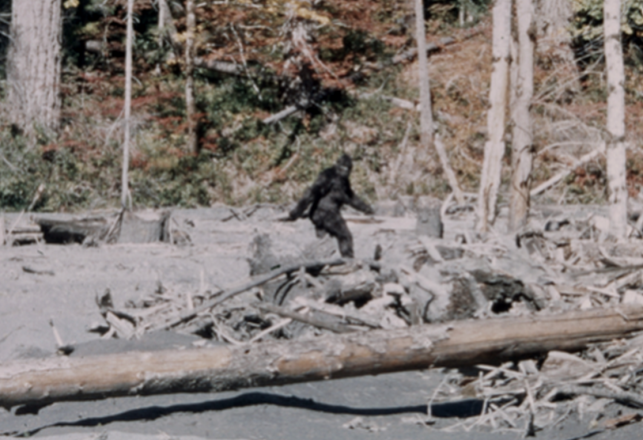 Maybe It’s Time We Forget About The Patterson Bigfoot Film