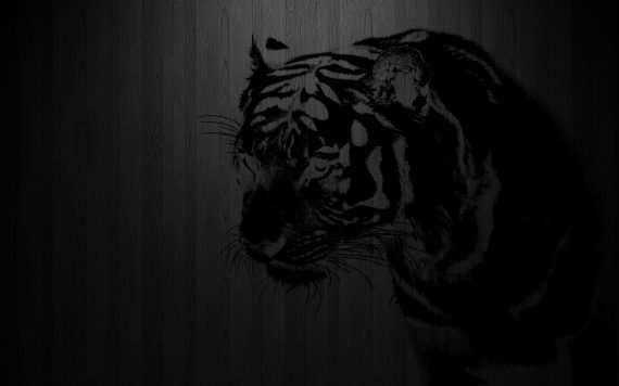 Black-Tiger-Stencil-Wallpaper