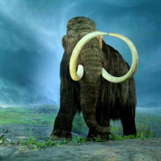A Mammoth-Sized Ghost (Literally!)