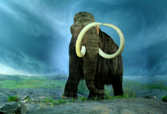 A Mammoth-Sized Ghost (Literally!)