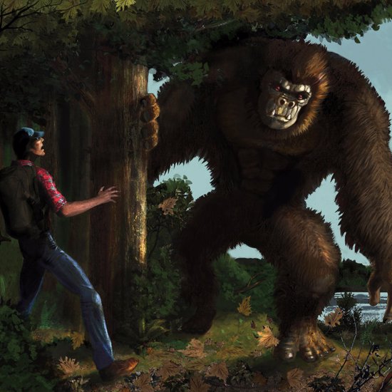 Bigfoot, Us, And The Food-Chain