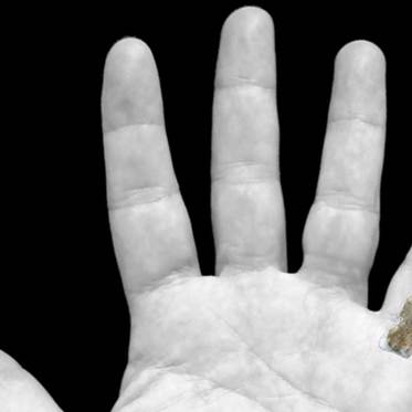 Pinkie Finger of a Prehistoric Giant Found in Tanzania