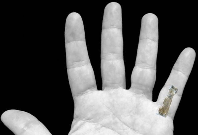 Pinkie Finger of a Prehistoric Giant Found in Tanzania
