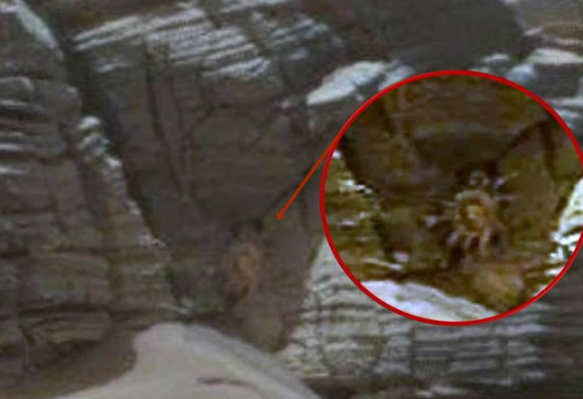 Giant Crab, Floating Rock and Antlers Found on Mars