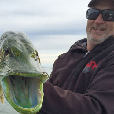 Mysterious Glowing Pike Caught in Canadian Lake