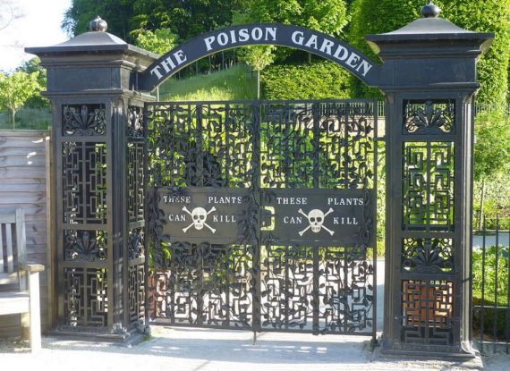 poison garden CROP  article920 large 570x415