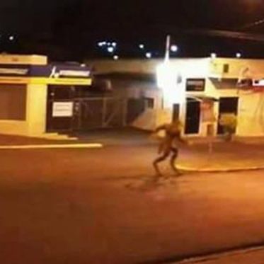 Werewolf Photograph Has Brazilian City on Alert