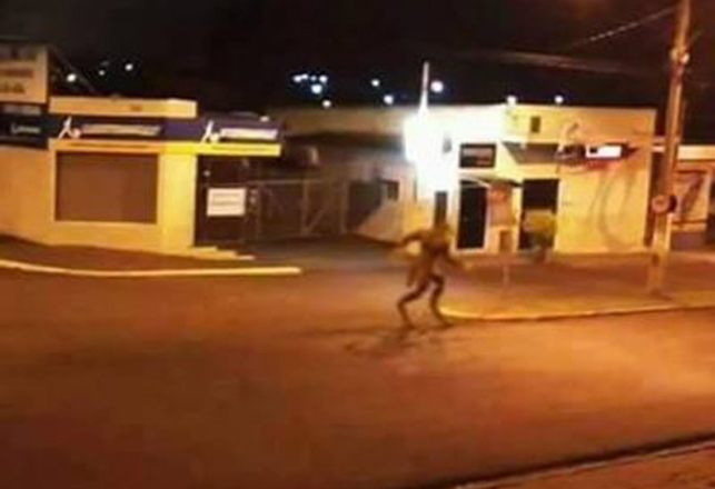 Werewolf Photograph Has Brazilian City on Alert