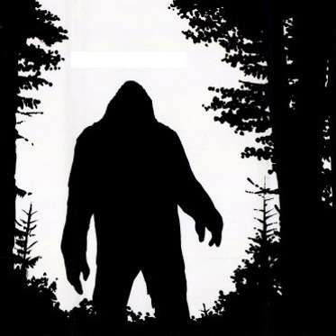 My British Bigfoot Quest, Pt. 2