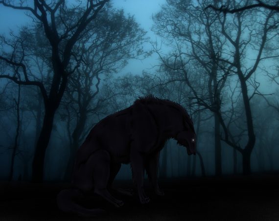Dark-Forest-Wolf-1