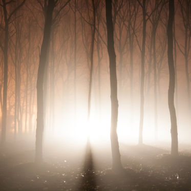 The Glowing Car of Rendlesham Forest