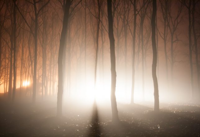 The Glowing Car of Rendlesham Forest