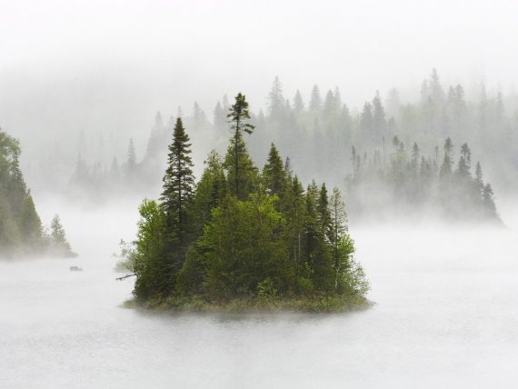 Island-in-fog