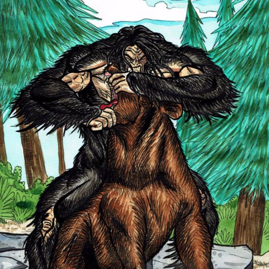 Battle of the Beasts: Bigfoot vs Bear