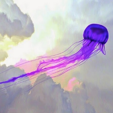 Flying Jellyfish UFOs, and a Synchronistic Message from the Past