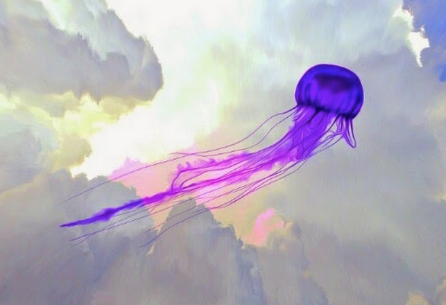 Flying Jellyfish UFOs, and a Synchronistic Message from the Past