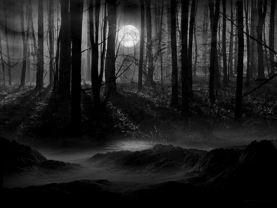 forest-dark