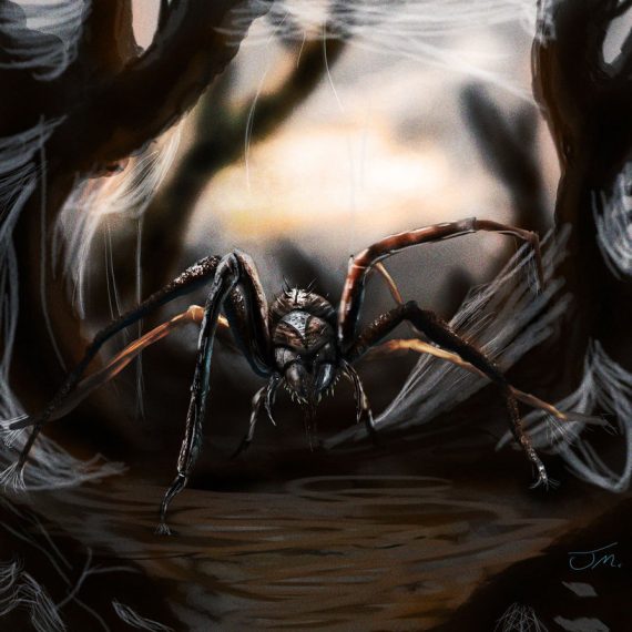 giant_spider_by_jakeaferr-d5ogjfz