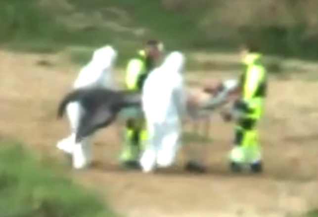 Possible Merman Removed From Polish Lake by Hazmat Team