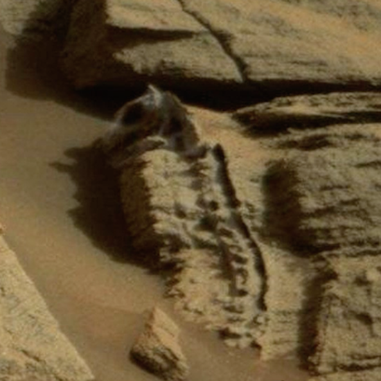 Two Guys, a Lizard and a UFO See Water on Mars