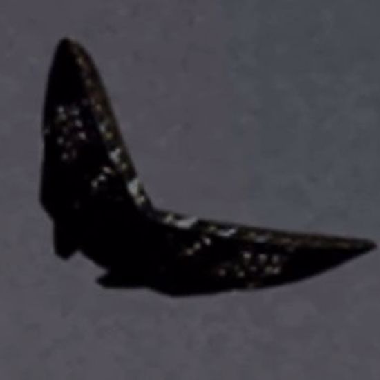 Strange Butterfly-Shaped UFO Chased by Military Aircraft