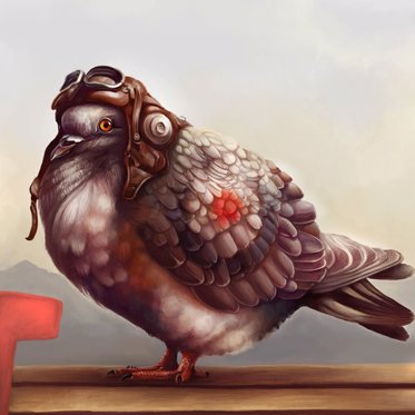 Peculiar Projects of the Pigeon Kind