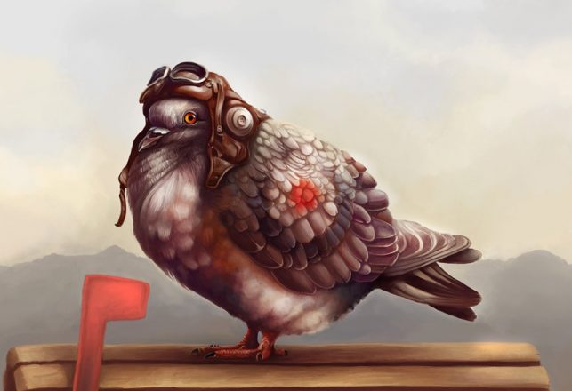 Peculiar Projects of the Pigeon Kind