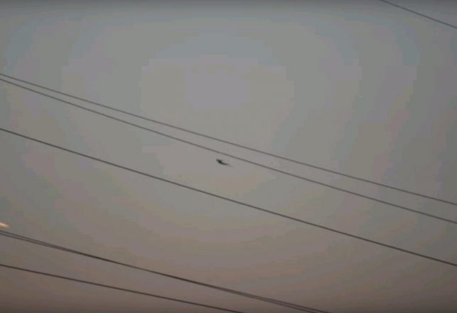 Humanoid over Bratislava, Home of Nuke Plants and UFO Cafe