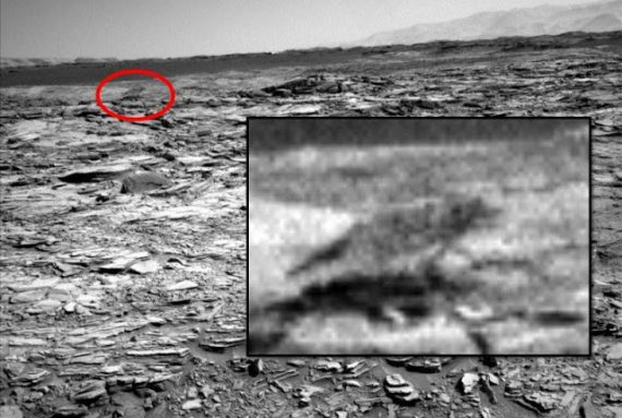 mars wolf curiosity 570x383