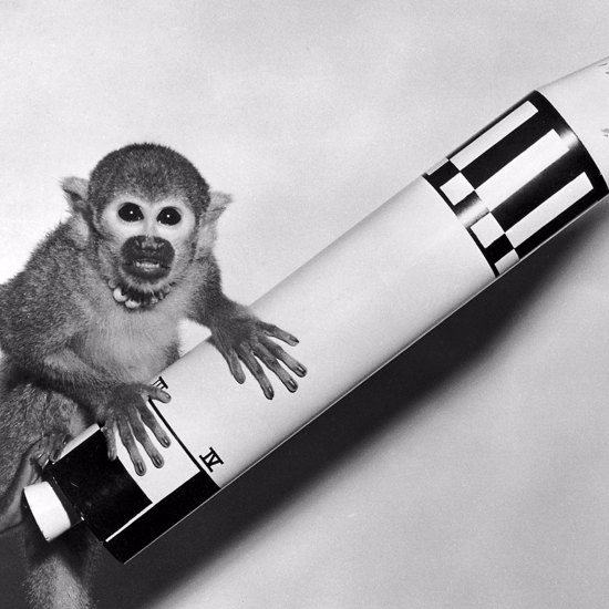 Russia is Planning to Send Monkeys to Mars