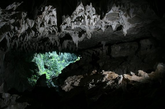 waitomo caves from inside 570x379