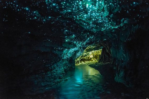 waitomo glowworm caves 1 570x380