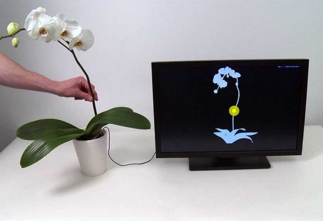 Cyborg Flowers are Here and Ready to Take Over