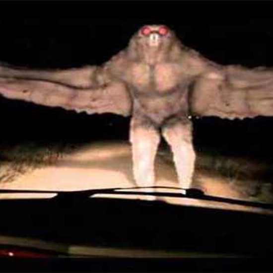 Mothman Spotted in Argentina and Ahool Seen in Portugal