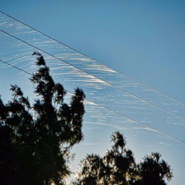 Mysterious Fibers Repeatedly Fall From the Sky Over Arizona