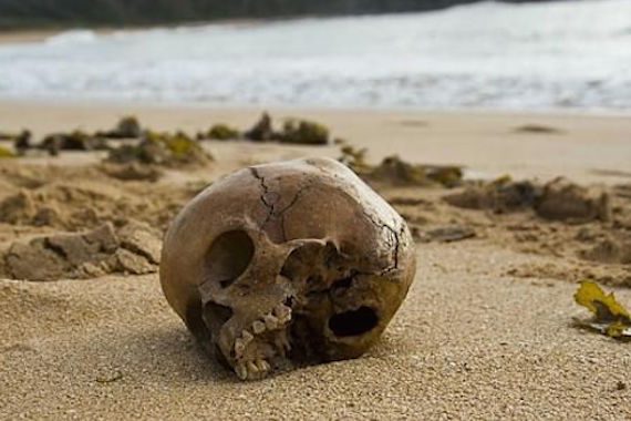 Skull_from_1001_CE_washed_up_on_Australian_beach