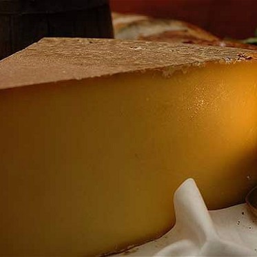 The Fuel of the Future May Come From Cheese