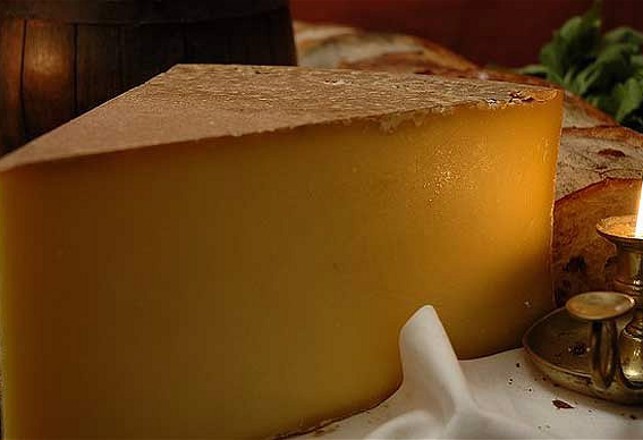 The Fuel of the Future May Come From Cheese