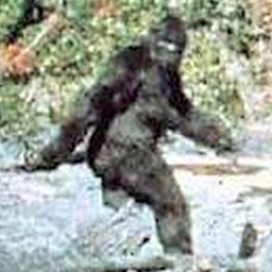 Bigfoot Banned From Trial in Iowa