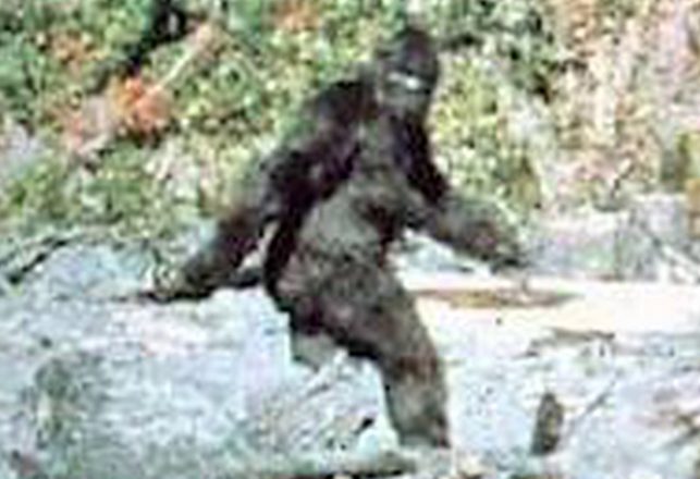 Bigfoot Banned From Trial in Iowa