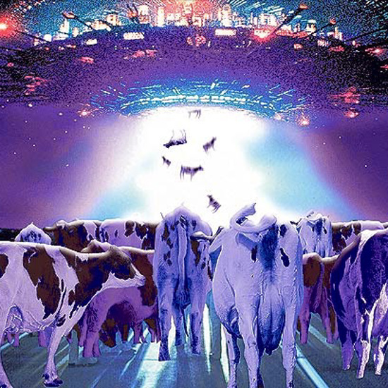 Argentine Cattle Mutilations Could Be Alien Gene Experiments