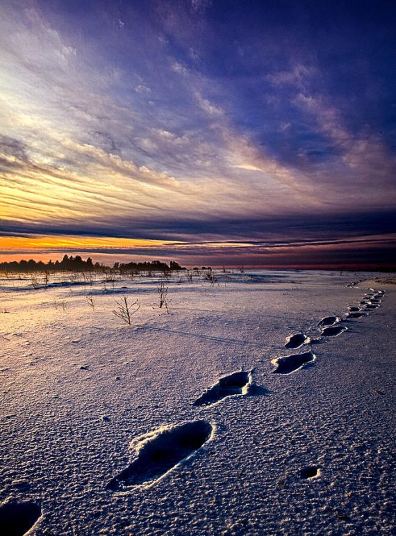 footprints-in-the-snow-phil-koch