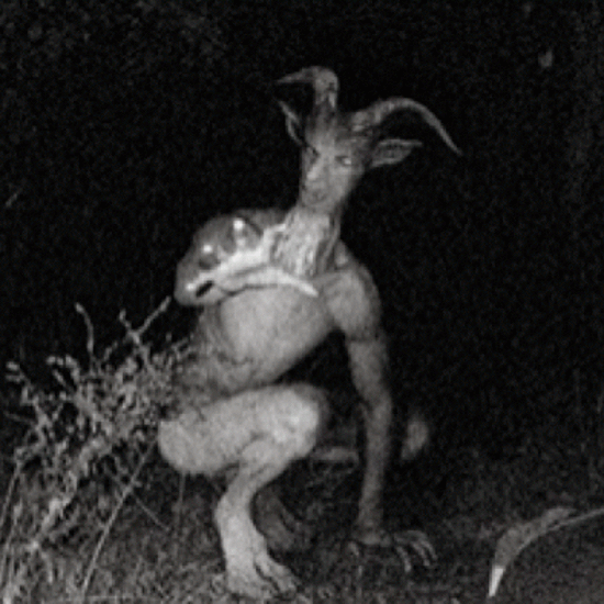 Goatman is Back or Maybe He Just Hired a New Publicist