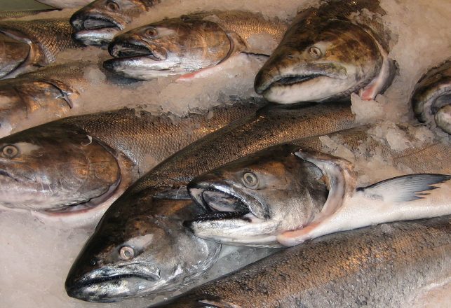 FDA Gives Green Light to First Genetically Modified Fish for Consumption