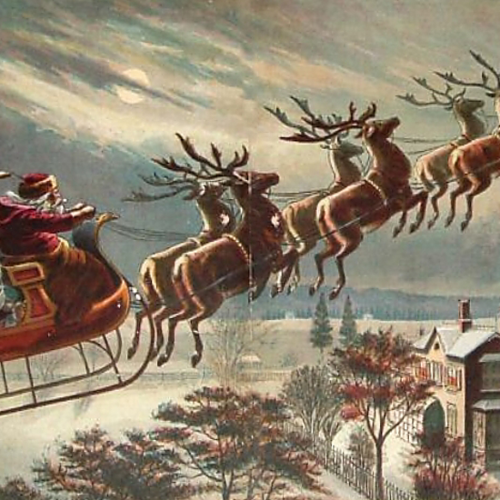 Reindeer May Get Their Lift From Mushrooms
