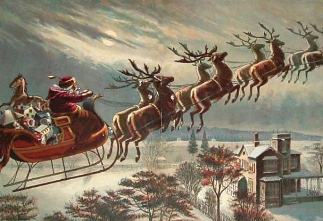 Reindeer May Get Their Lift From Mushrooms