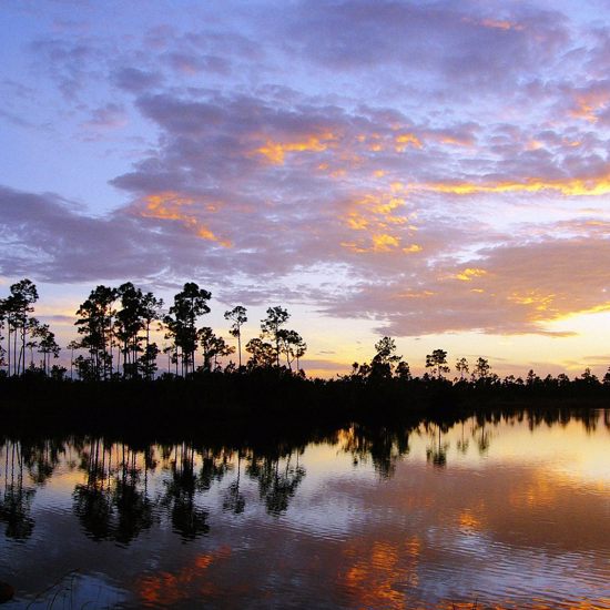 The Myriad Mysteries of the Florida Everglades